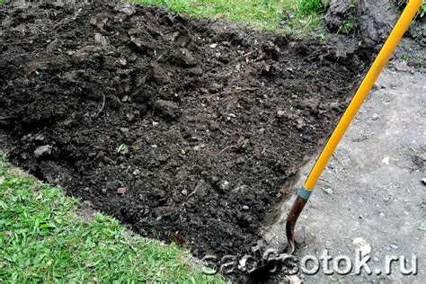 Подготовка почвы для осеннего применения мочевины