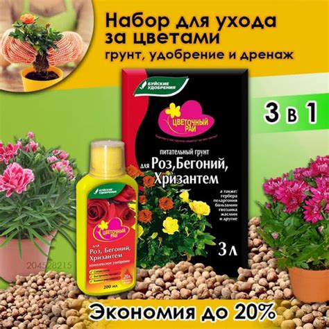 Подготовка почвы для пересадки хризантем