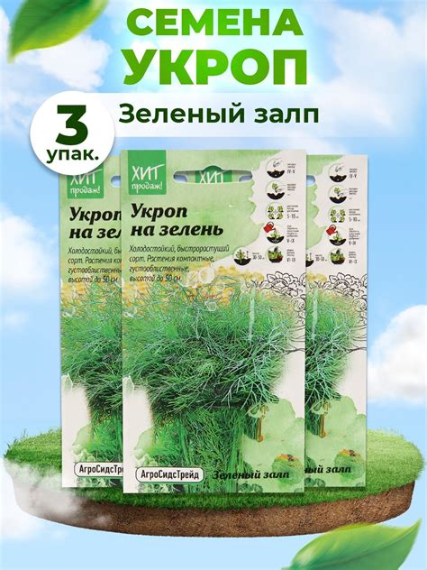 Подготовка почвы и семян для посадки укропа