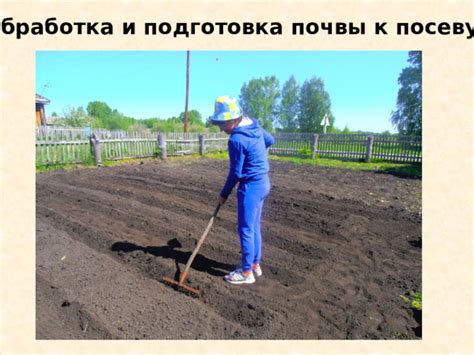 Подготовка семян и почвы к посеву