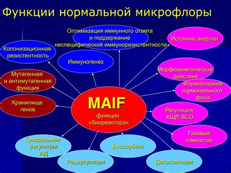 Поддержание нормальной микрофлоры