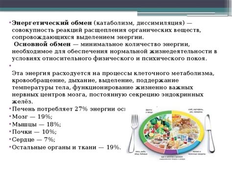 Поддержание основного обмена веществ