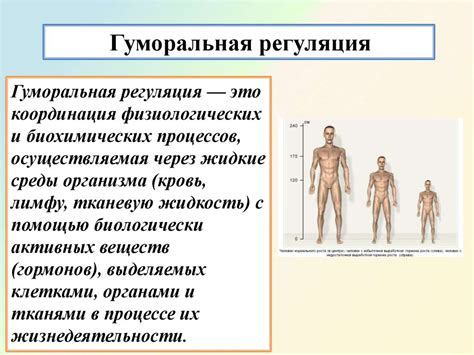 Поддержание основных функций организма