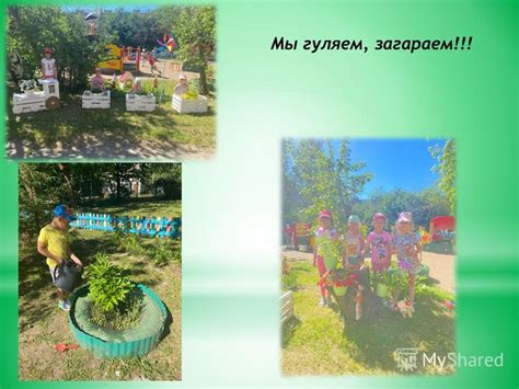 Поддержание эстетического вида сада