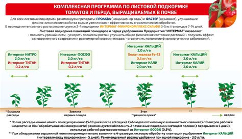 Подкормка и полив виноградного растения
