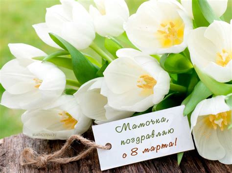 Подойти к маме с мирными намерениями
