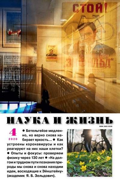 Подписка на журнал "Наука и жизнь"