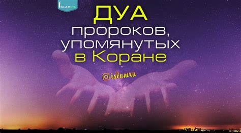 Подтверждение в Коране