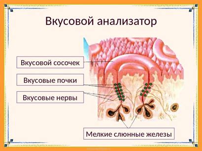 Подчеркивание вкусового предпочтения
