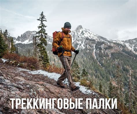 Позитивные стороны жаркого лета и возможности для активного отдыха