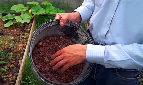Покупка готовой мульчи или ее приготовление самостоятельно