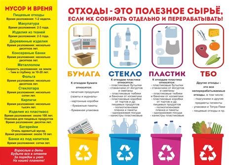 Полезная информация о выбрасывании мусора
