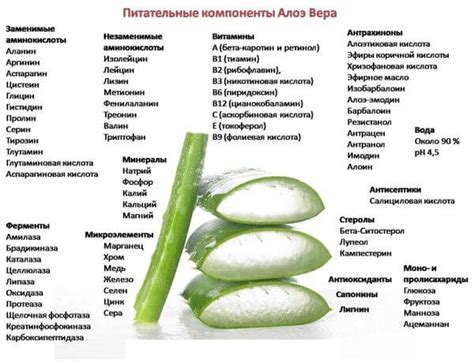 Полезные рекомендации для укрепления иммунитета при плохой погоде