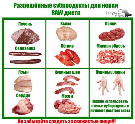 Полезные свойства варки вымени для собаки