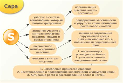 Полезные свойства и влияние кормовой серы на организм