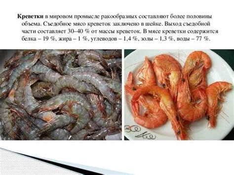 Полезные свойства креветок: факты и исследования