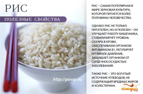 Полезные свойства крупы рис