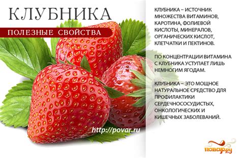 Полезные свойства листьев клубники для здоровья