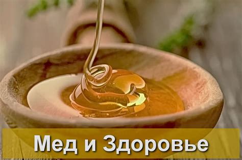 Полезные свойства меда с воском для здоровья