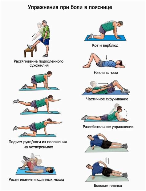Полезные упражнения для укрепления спины