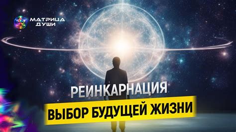 Полезный опыт для будущей жизни