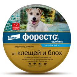 Полная защита: когда следует держать ошейник от блох постоянно