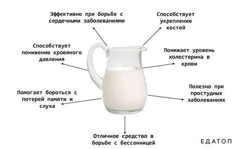 Положительное воздействие молока на функцию почек