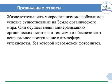 Положительные стороны использования видеокамер в примерочных