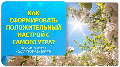 Положительный настрой как способ самовыражения