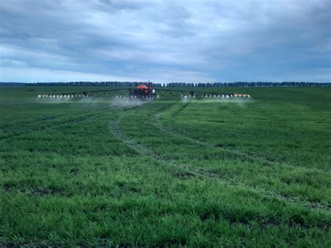 Положительный опыт использования перегноя в сельском хозяйстве