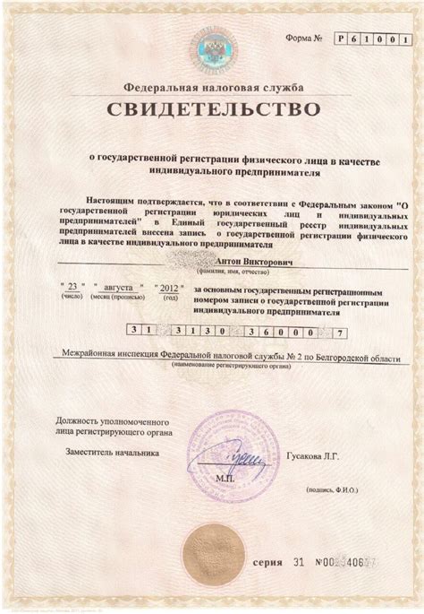 Получение свидетельства о регистрации ИП