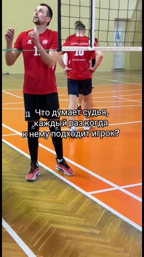 Получи свою порцию летнего веселья