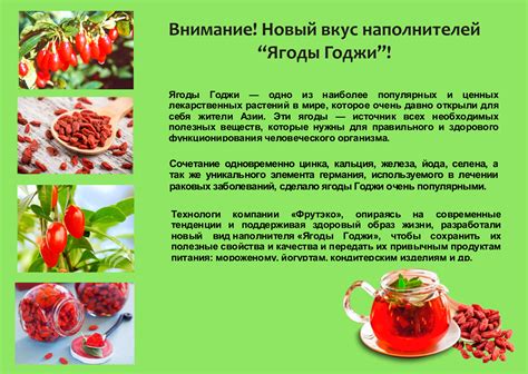 Польза годжи: народные и научные представления