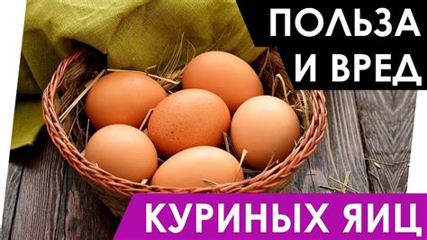 Польза и вред много белка яиц для организма
