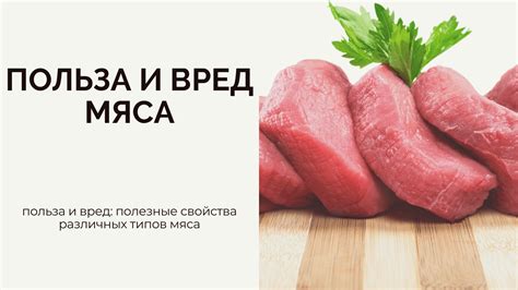Польза и вред сырого мяса для щенка