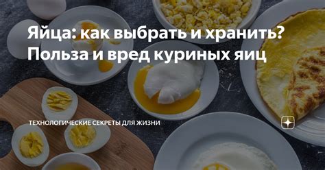 Польза и вред яиц куриных для котят