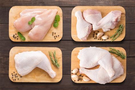Польза отварной курицы для кошек
