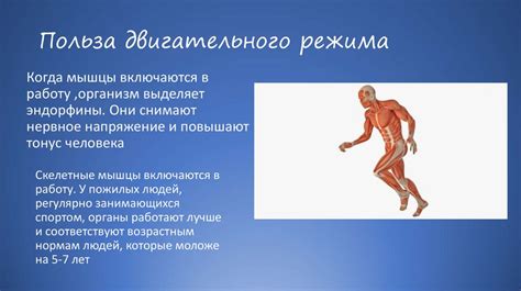 Польза спорт режима