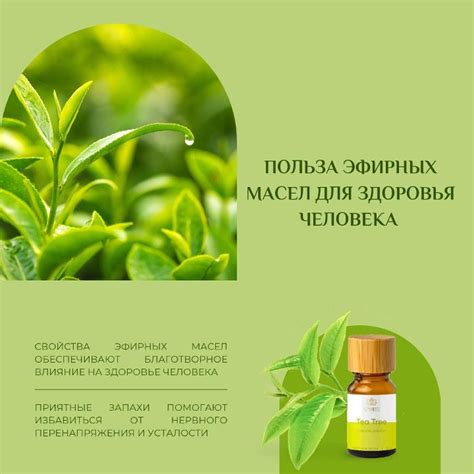 Польза эфирных масел для здоровья