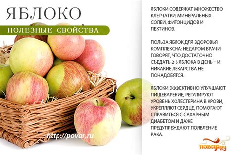 Польза яблок для организма перед бегом