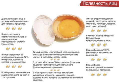Польза яиц куриных для котят