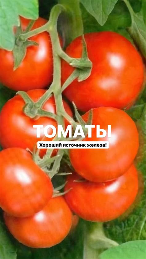 Помидоры как источник витаминов