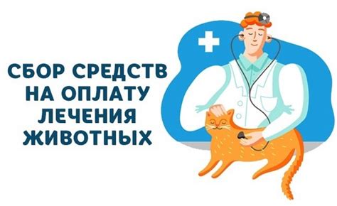 Помогите организовать лечение