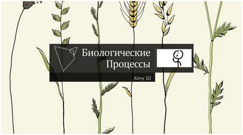 Понимание питания через визуальные образы
