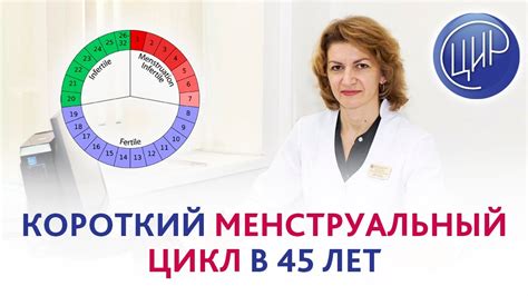 Понимание ранней овуляции