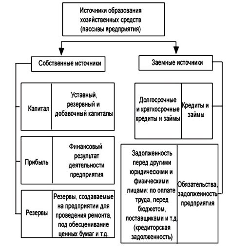 Понятие и виды имущества директора ООО