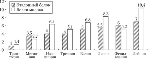 Понятие и значение аминокислот в белке