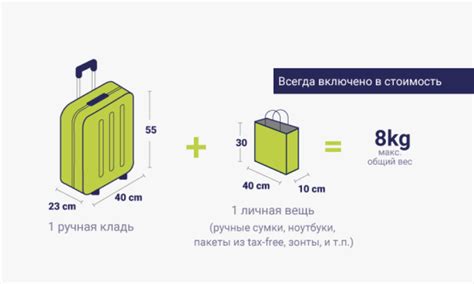 Понятие ручной клади