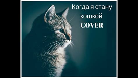 Популярность с синглом "Когда я стану кошкой"