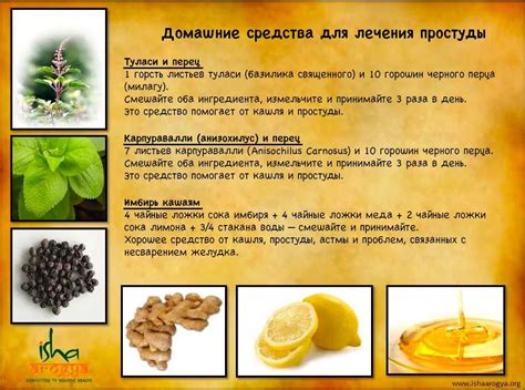 Популярные способы применения меда на ночь